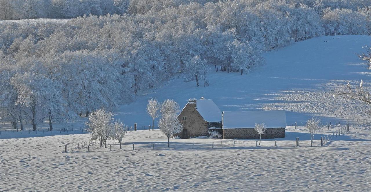 Aux Portes D'Aubrac Studio 2 Personnes Bed & Breakfast Condom-d'Aubrac Luaran gambar